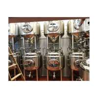 Home brewing equipment/Mini brewery microbrewery beer equipment for hot selling